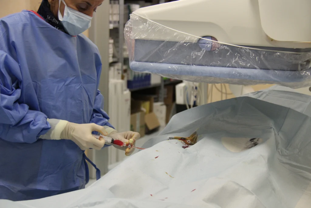 Accesso venoso pronto per l’utilizzo.