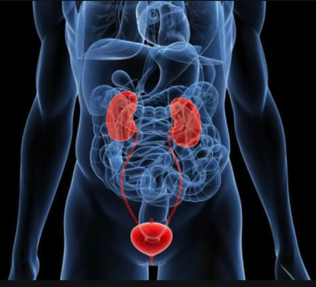 Trattamenti minimamente invasivi per ostruzioni delle vie urinarie, senza chirurgia complessa