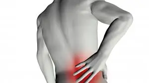 Processo di degenerazione del disco e formazione di tessuti infiammatori